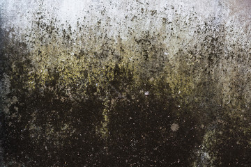 Vintage stained wall texture in warm brown tone. Useful for creative backgrounds, restoration...