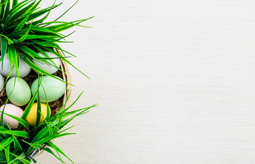 Fototapeta na wymiar Easter spring colorful eggs and green grass lying on white wooden table background