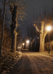 Lantern in the park at night