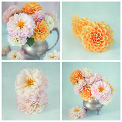 Flower collage .Photos of beautiful flowers on a light green background.Yellow and pink dahlias.