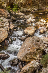 Naklejka na ściany i meble beautiful river with rocks in forest