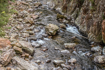 beautiful river with rocks in forest
