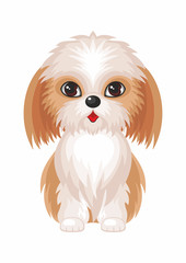 Shih Tzu.Vector image of a cute purebred dogs in cartoon style.