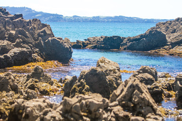 Obraz premium coastline with sand beach and rocks, sea background, new zealand nature