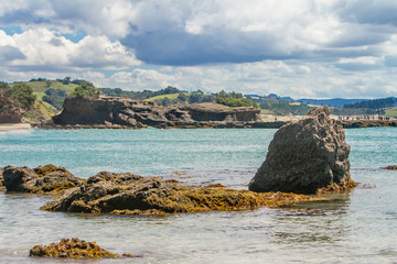 Fototapeta na wymiar coastline with sand beach and rocks, sea background, new zealand nature
