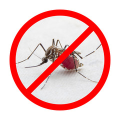 Stop/ Prohibit sign on mosquito on white background
