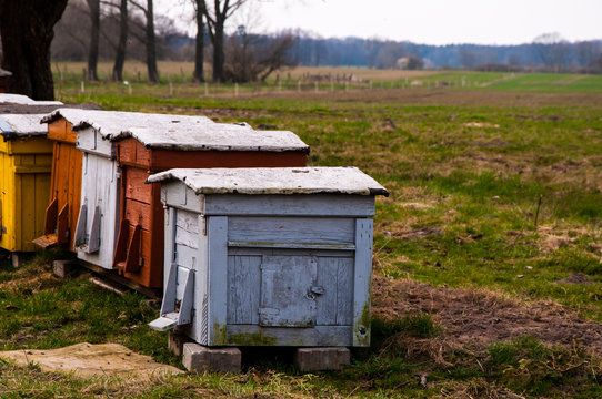 The image of colorful beehives
