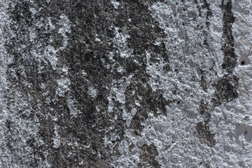 Rough cement wall texture showing weathered and gritty surface detail, ideal for backgrounds and...