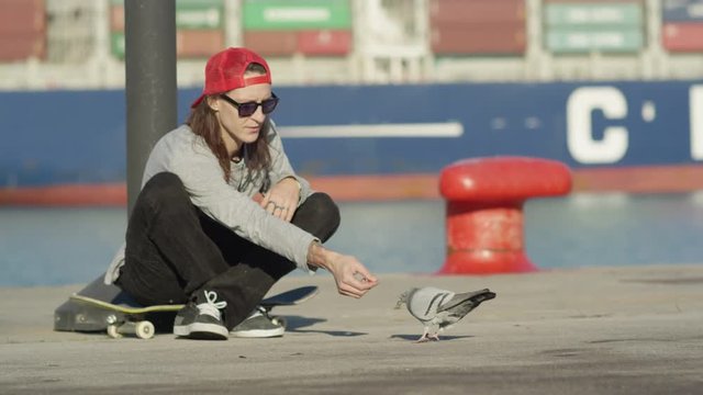 SLOW MOTION, CLOSE UP, DOF: Cool smiling young skateboarder resting sitting on his skateboard and feeding pigeon during the skating break. Skater chilling on skate giving food to the birds in seaport