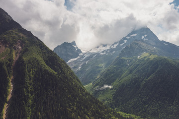 mountains with green grass and stormy sky landscape