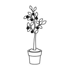 plant in a pot over white background. vecotr illustration