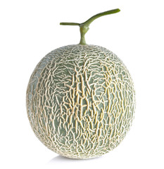 Melon on a white background