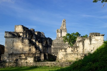 tikal mayan ruins jungle temple guatemala 