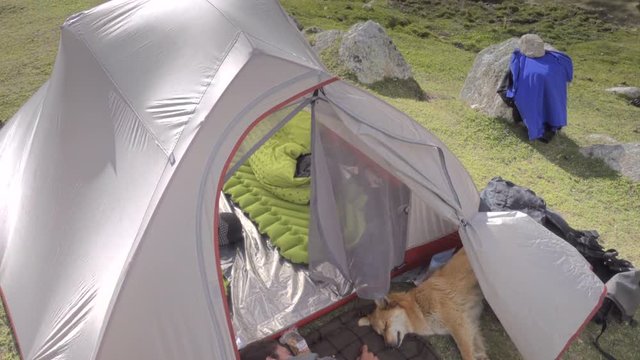 Woman sleeping outside the tent with her dog. 4k