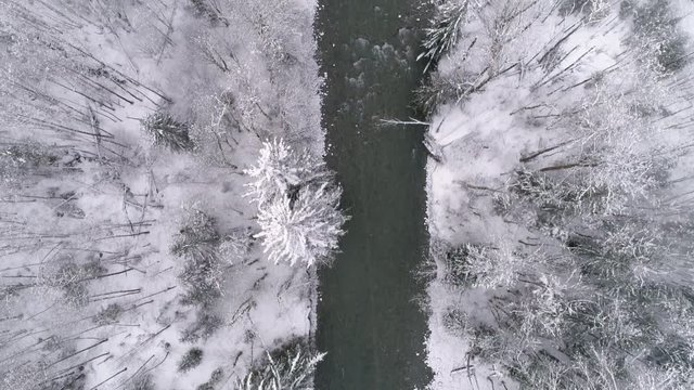 Overhead Aerial Following Cold Forest River Framed by Winter Snow Covered Trees