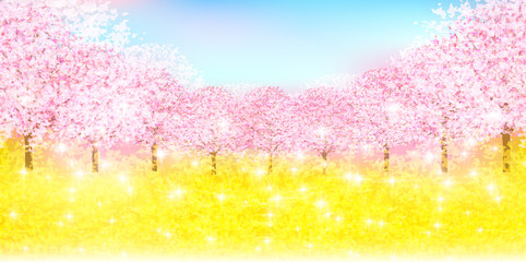 桜　花　春　背景