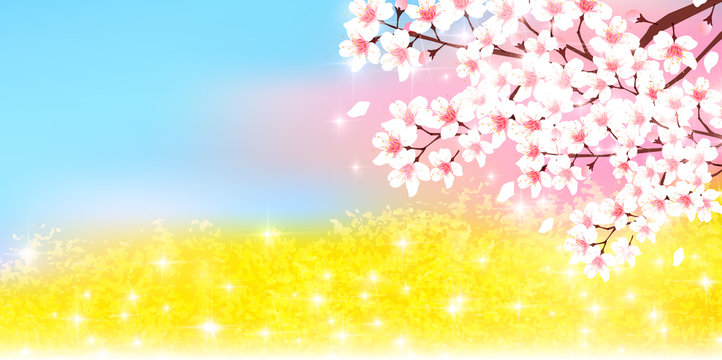桜　花　春　背景