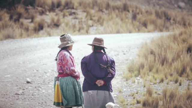 Old quechua ladies talking, meanwhile grandson plays with baby sheep, Peru