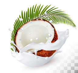 Coconut in a milk splash on a transparent background. Vector.