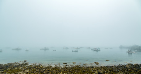 Foggy Morning on Schoodic