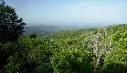 Naturlandschaft von Kuba