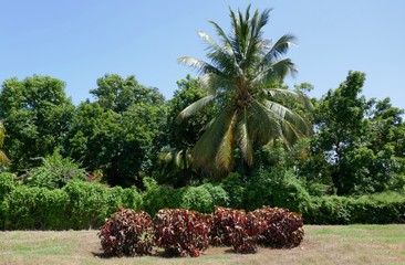 Naturlandschaft von Kuba