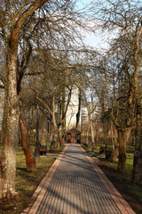 Path to an arbour./In city park there is an arbour. To an arbour the path along which conducts apple trees grow.