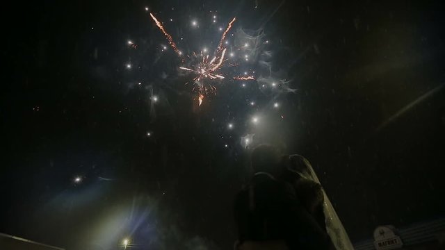 Holiday. Night fireworks