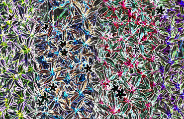 Abstract colorful flower background