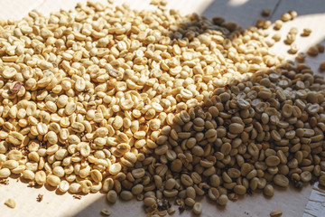 First processing of vintage coffee bean