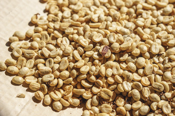 First processing of vintage coffee bean