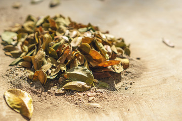 Piles of leaves and dust