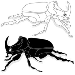 Beetle. Hand drawn sketch.