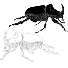 Beetle. Hand drawn sketch.