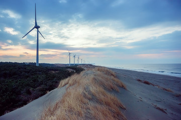 海岸の風力発電、早朝の風景