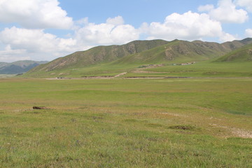 Amdo Tibetan Grassland in Summer Blue Sky White Clouds