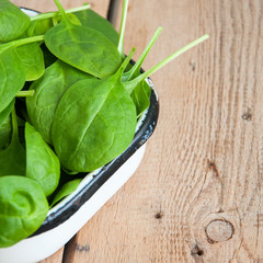 Fresh baby spinach leaves in a white metal bowl on a wooden background. Copy space and square image.