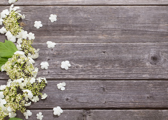 White flowers on the old wooden background