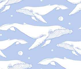 seamless pattern with humpback