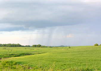 Beautiful horizontal spring landscape: the rain is coming 