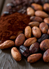 cocoa beans and powder