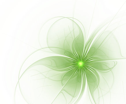 Abstract Fractal Green Flower On A White Background