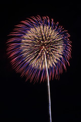 Fototapeta premium Oishida festival Fireworks 大石田まつり花火大会