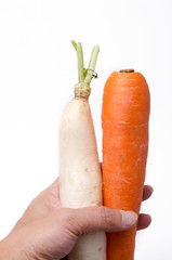 fresh white radish and carrot solated on white background
