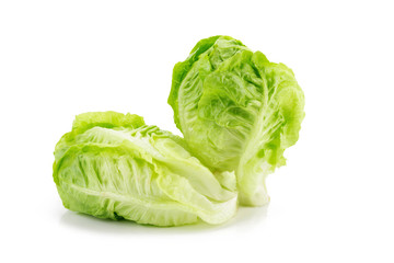 Romain Lettuce isolated on a white background.