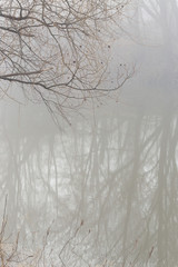 Fog over water in the spring in the early morning.