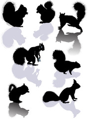 seven squirrels black silhouettes with shadows