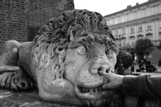 Stone lion statue