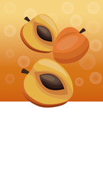 brochure apricot fruit blank vector illustration eps 10
