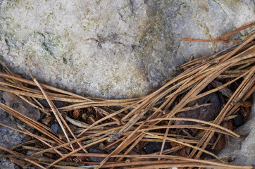 natural stone background texture needles